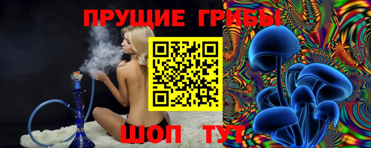 Галлюциногенные грибы прущие грибы Лабытнанги